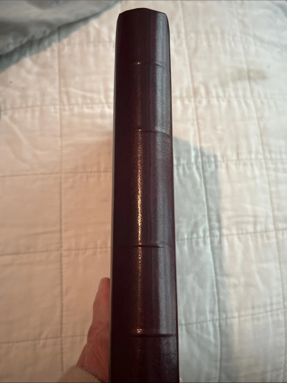 Embossed 'ADDRESSES' Leather Address Book - Deep Brown